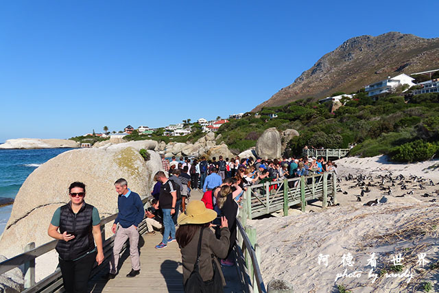 simonstown2SX740 308.JPG