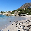 simonstown2SX740 292.JPG