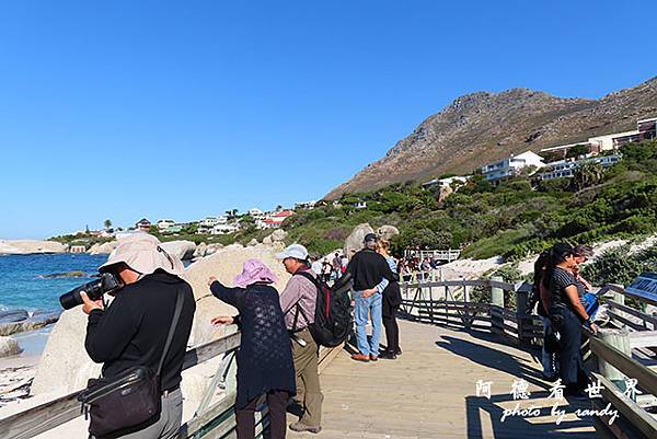 simonstown2SX740 251.JPG