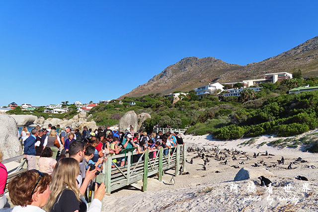 simonstown2SX740 304.JPG