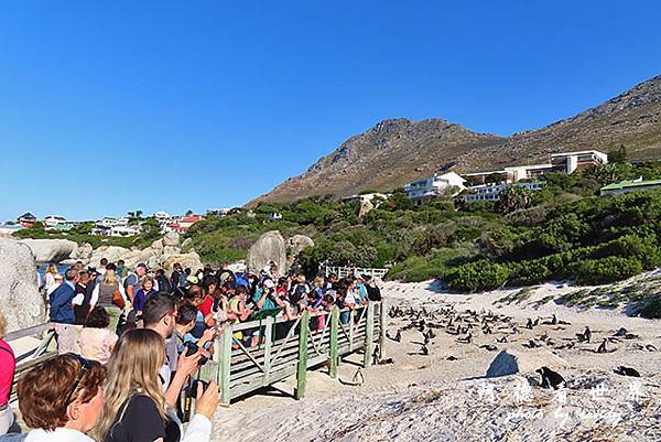 simonstown2SX740 304.JPG