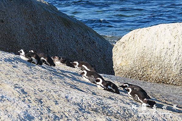 simonstown2SX740 315.JPG