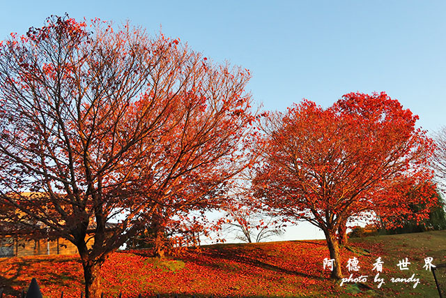 奈良SX740 156.JPG