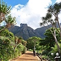 capetown4SX740 067.JPG