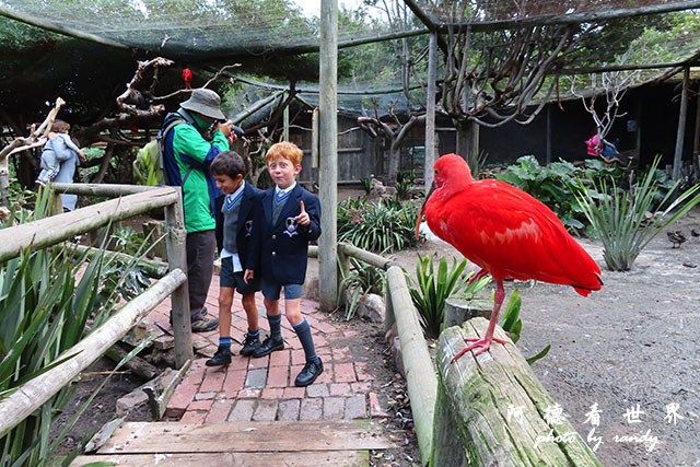 capetown4SX740 260.JPG