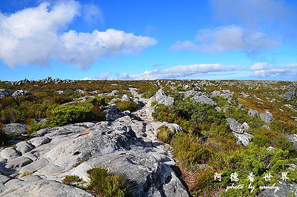 capetown5D7000 180.JPG