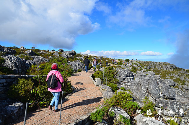 capetown5D7000 171.JPG