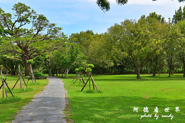 台東海濱-惡地-D810 087.JPG