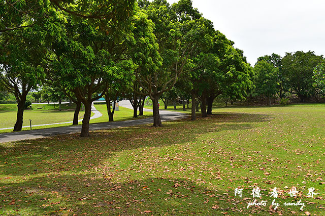 台東海濱-惡地-D810 093.JPG