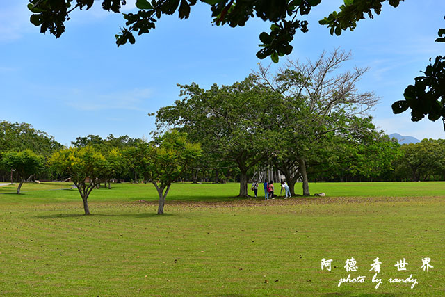 台東海濱-惡地-D810 098.JPG