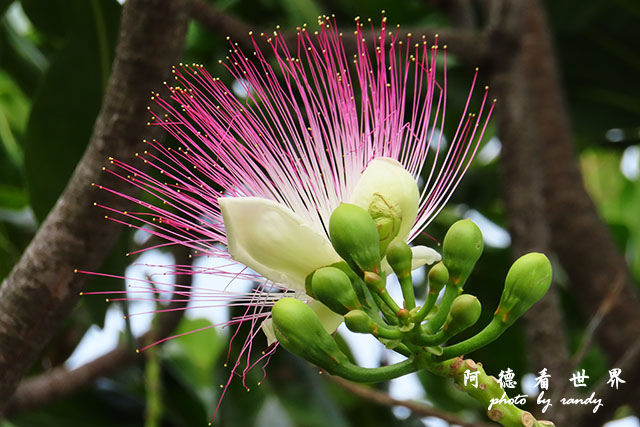 墾丁-高雄-虎尾-SX740 149.JPG