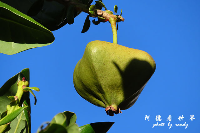 墾丁-高雄-虎尾-SX740 065.JPG