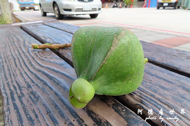 墾丁-高雄-虎尾-SX740 168.JPG