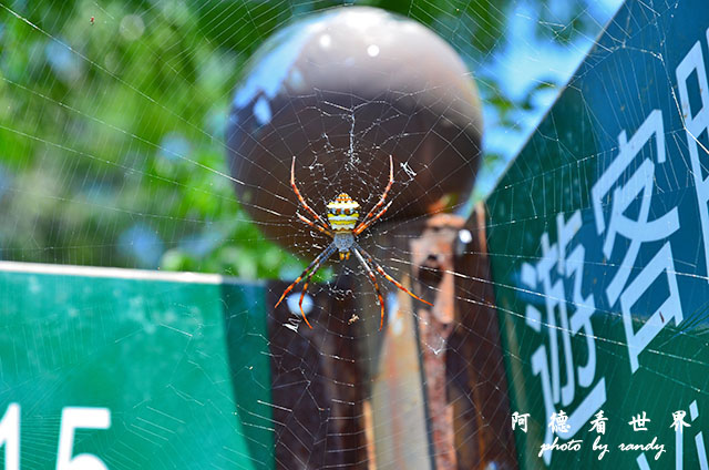 仁山植物園 018.JPG