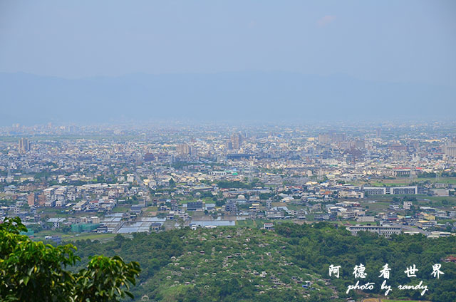 仁山植物園 024.JPG