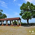 仁山植物園 027.JPG