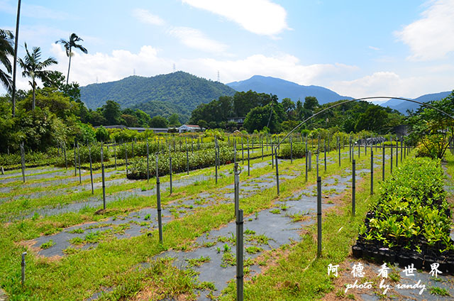 仁山植物園 028.JPG