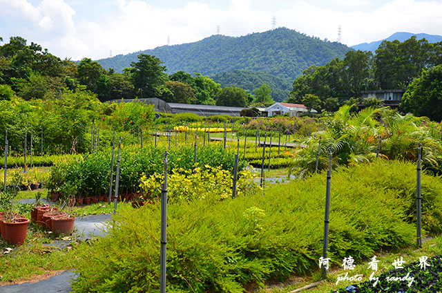 仁山植物園 029.JPG