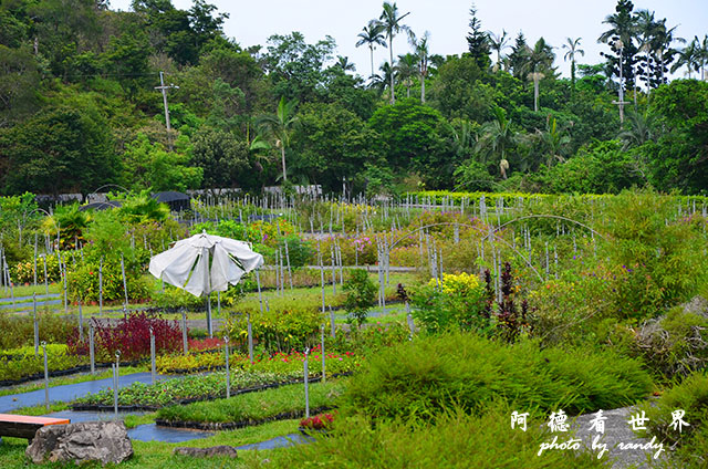 仁山植物園 038.JPG