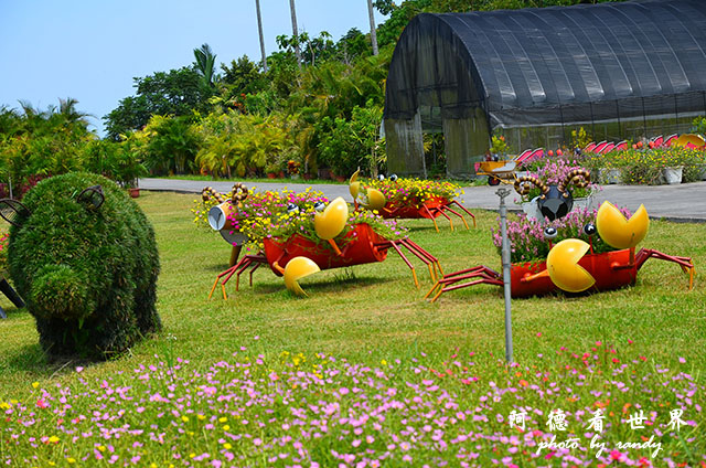 仁山植物園 035.JPG