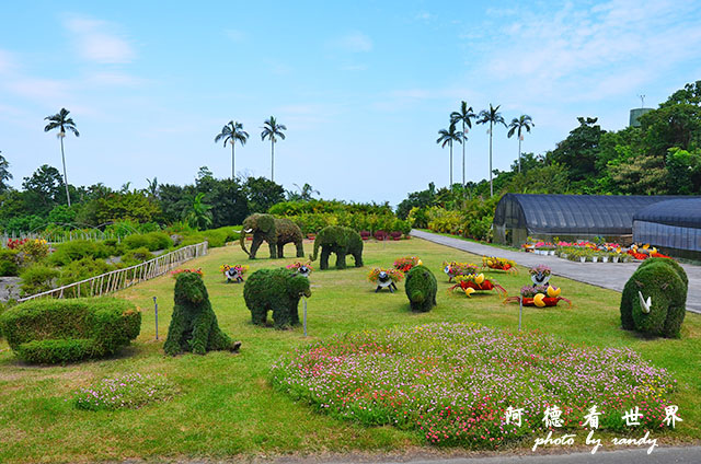 仁山植物園 037.JPG