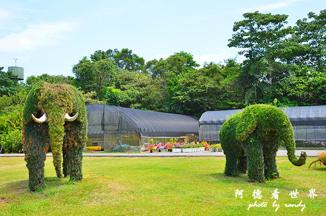 仁山植物園 032.JPG