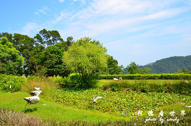 仁山植物園 048.JPG