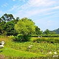 仁山植物園 048.JPG