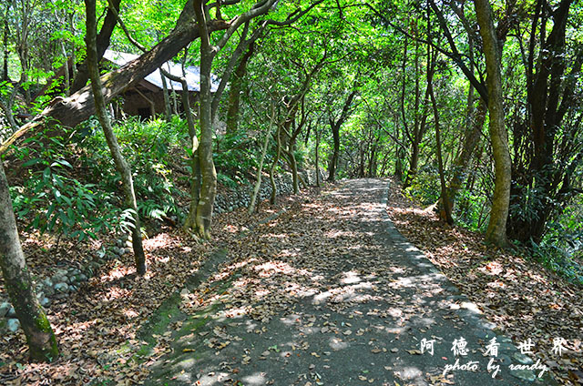 仁山植物園 055.JPG