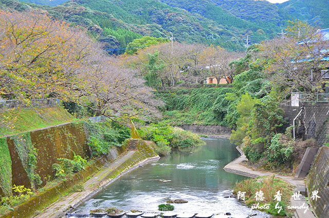 佐賀-柳川D7000 003.JPG