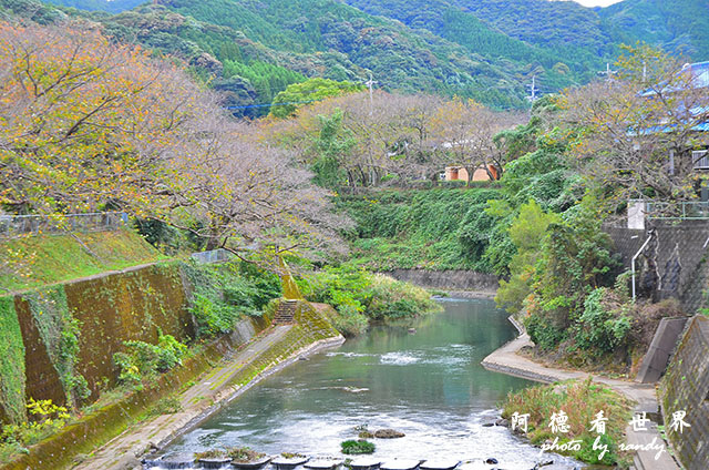 佐賀-柳川D7000 003.JPG