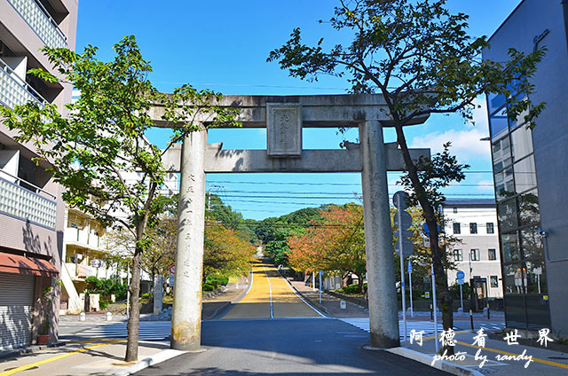 西公園大濠舞鶴D7000 001.JPG