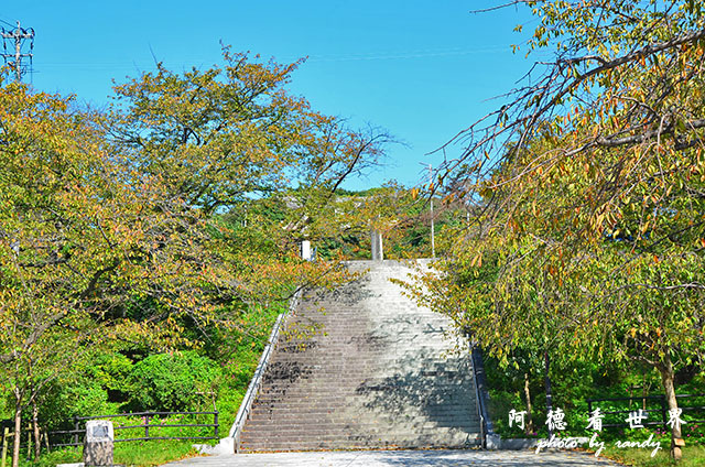 西公園大濠舞鶴D7000 010.JPG