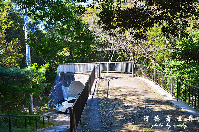 西公園大濠舞鶴D7000 027.JPG