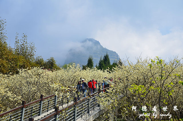 嘉義雲林217-21 140.JPG