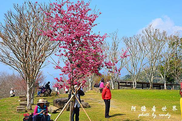 嘉義雲林217-21 139.JPG