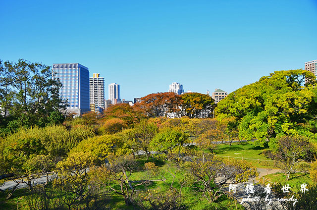 西公園大濠舞鶴D7000 154.JPG