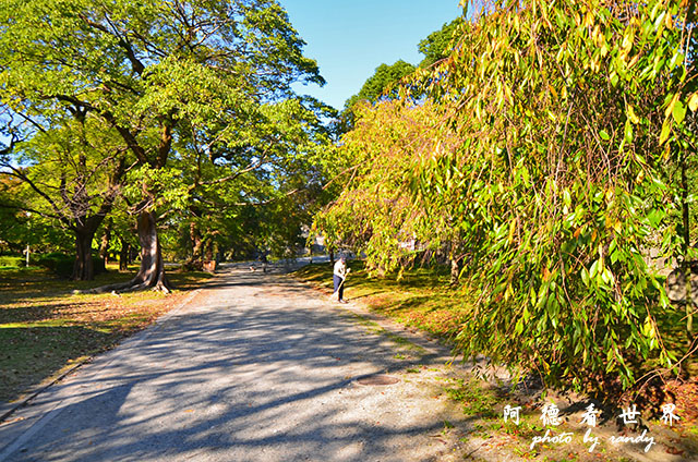 西公園大濠舞鶴D7000 148.JPG