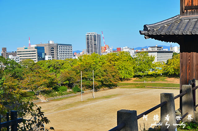 西公園大濠舞鶴D7000 158.JPG