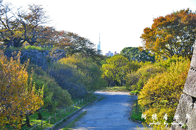 西公園大濠舞鶴D7000 159.JPG