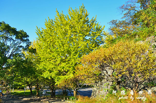 西公園大濠舞鶴D7000 165.JPG