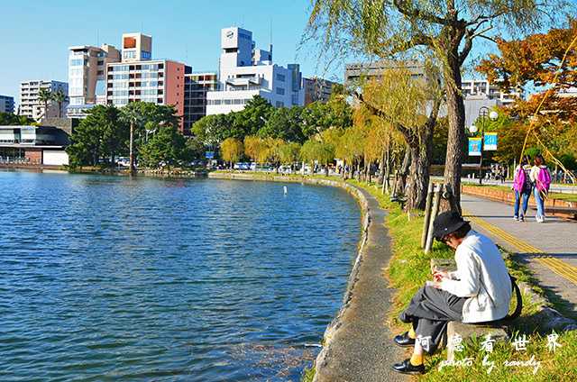 西公園大濠舞鶴D7000 175.JPG