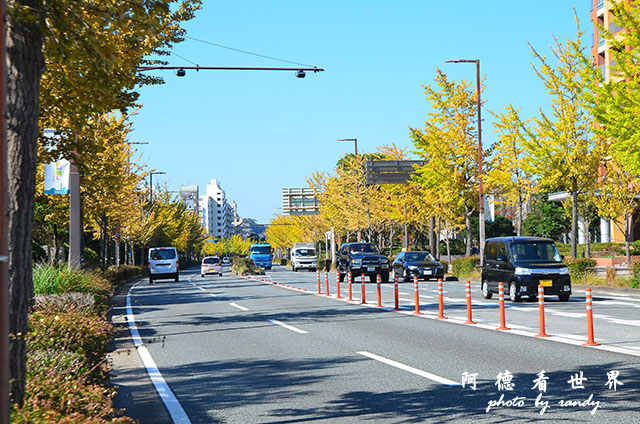 福岡市立美術館D7000 005.JPG