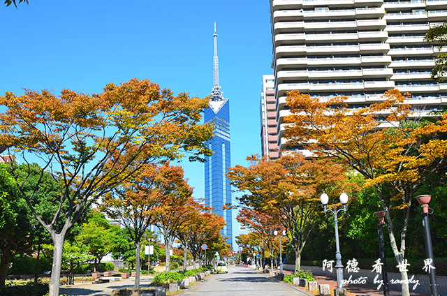 福岡市立美術館D7000 037.JPG