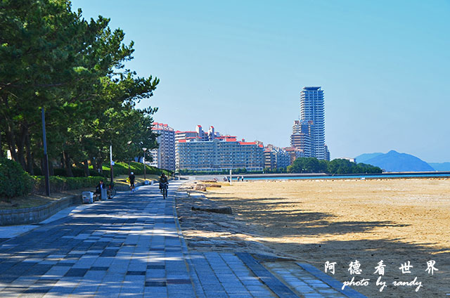 福岡市立美術館D7000 062.JPG