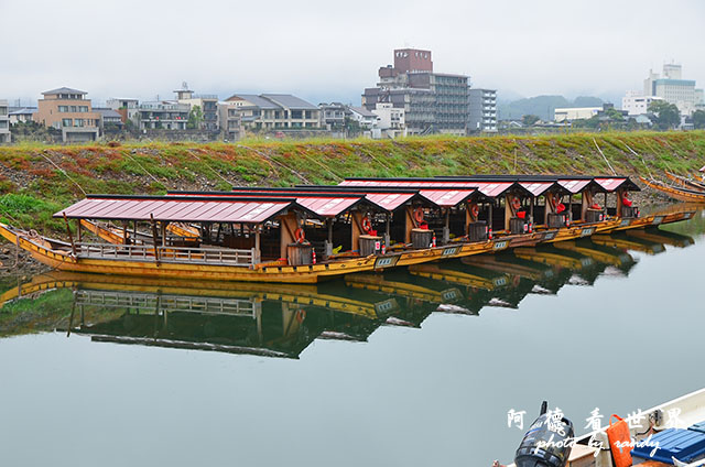 犬山-岐阜D7000 137.JPG