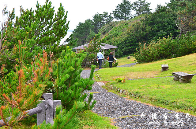 安乘埼-大王埼-賢島D7000 080.JPG