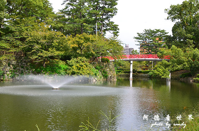 岡崎公園-名古屋港D7000 018.JPG