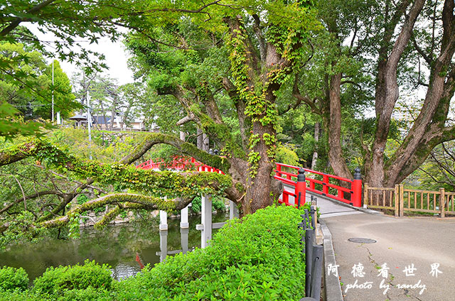 岡崎公園-名古屋港D7000 021.JPG