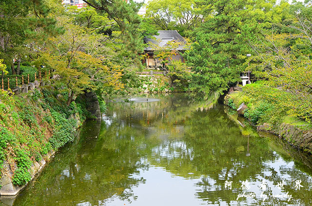 岡崎公園-名古屋港D7000 030.JPG